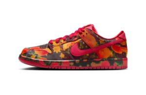 Nike SB dunk wizard of oz