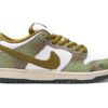 NIKE SB DUNK LOW ALEXIS SABLONE CHAMELEON