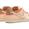 Nike Dunk SB Low 'Trocadéro Gardens'