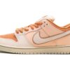 Nike Dunk SB Low 'Trocadéro Gardens'