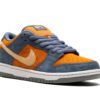 Nike SB Dunk Low Light Carbon Monarch