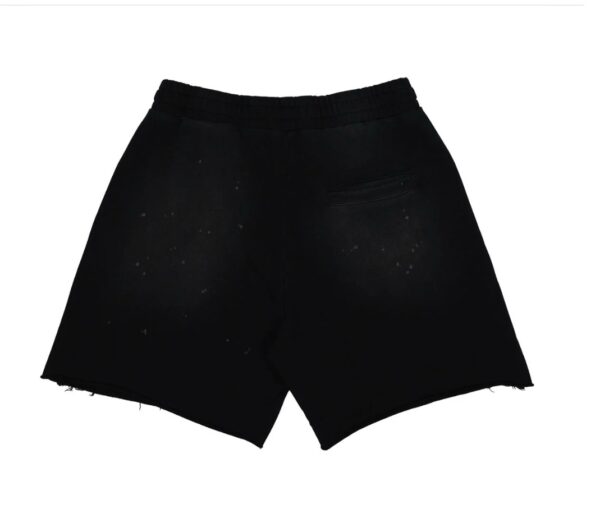 img_1639-4 WASHED BRIGHT FUTURE SHORTS